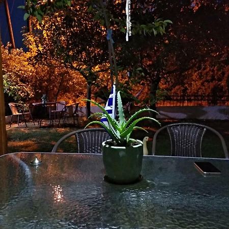 Mιχαλης Apartments Paramythia Esterno foto