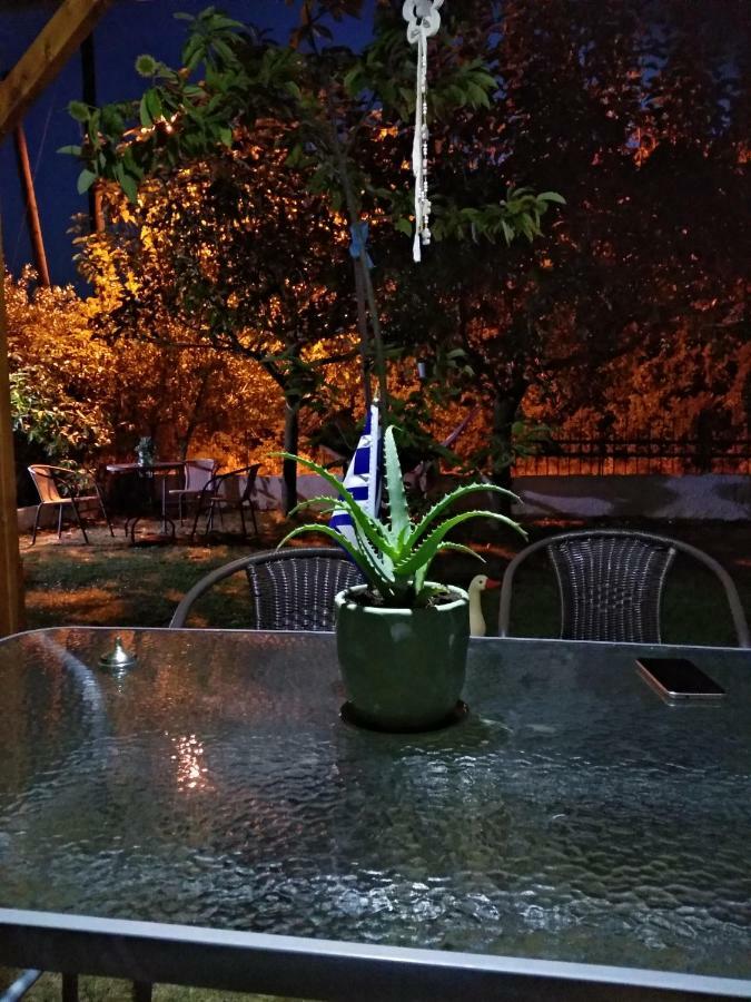 Mιχαλης Apartments Paramythia Esterno foto